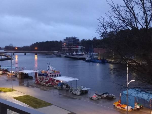 Apartament Z Widokiem Na Morze I Port Mrzeżyno Eksteriør billede